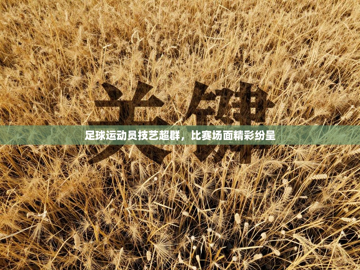 足球运动员技艺超群,比赛场面精彩纷呈 第2张